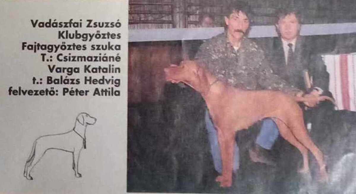 Vadászfai Zsuzsó