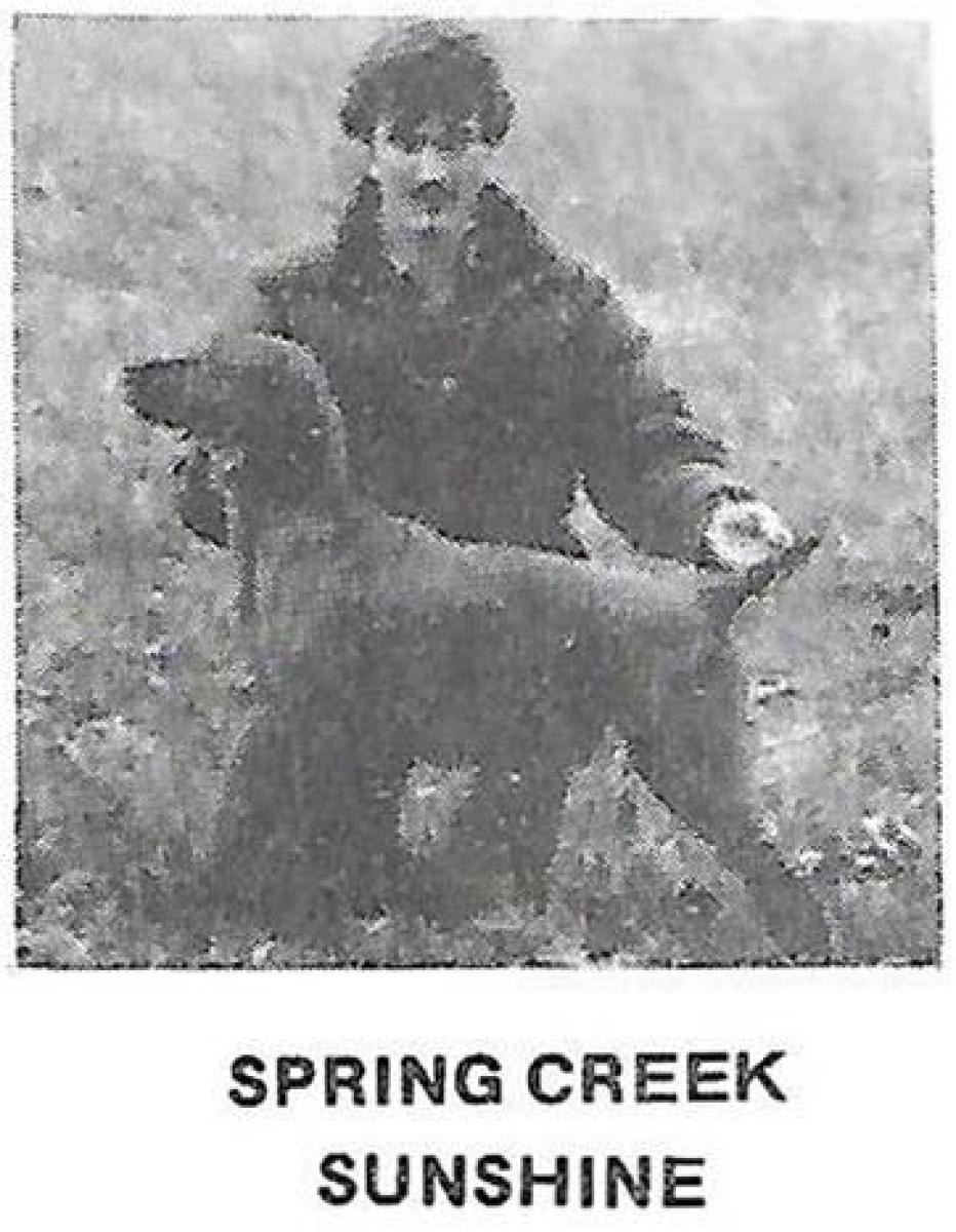 Spring Creek Sunshine