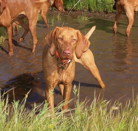 Reddog Ranch Fiona