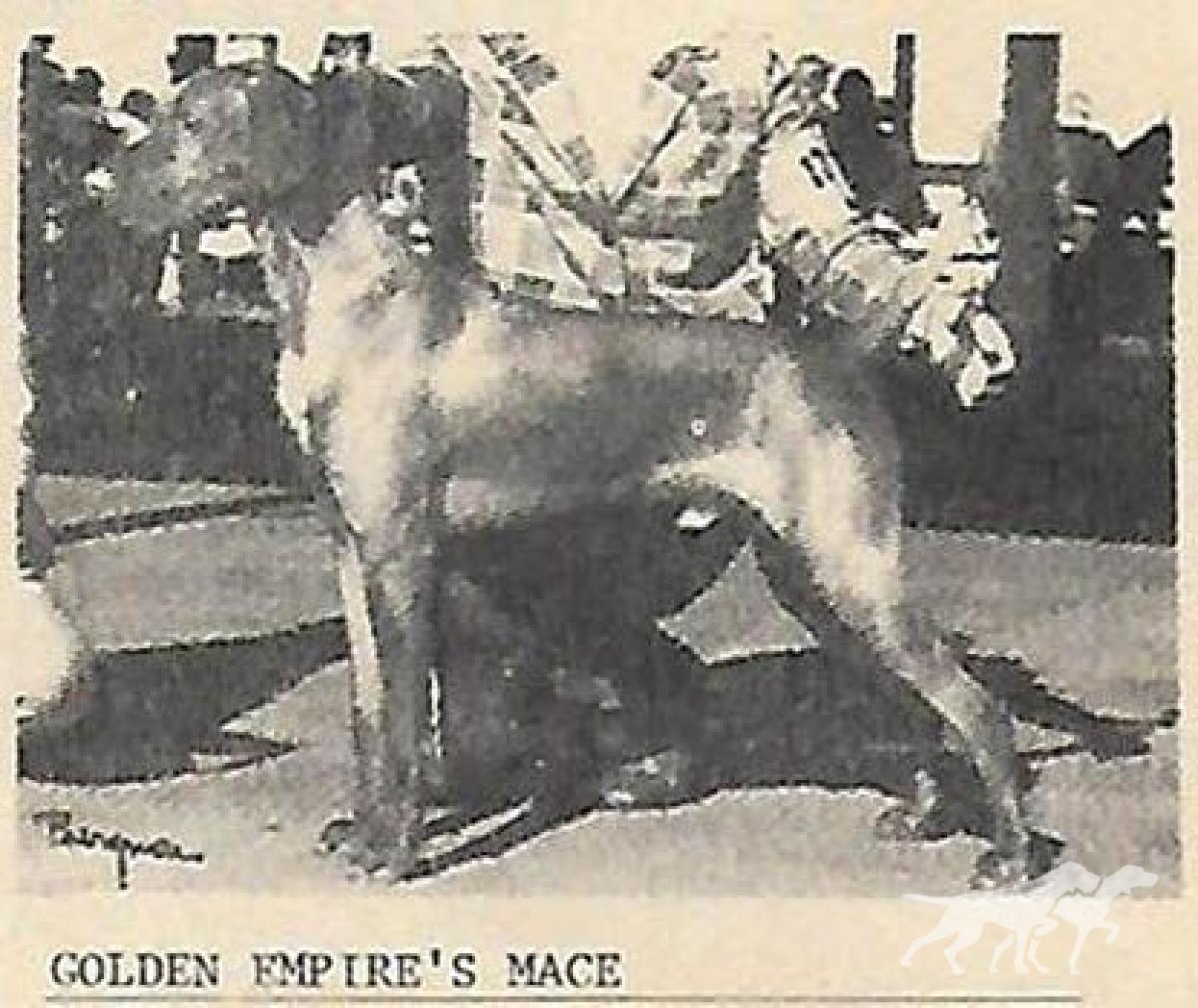 Golden Empire's Mace