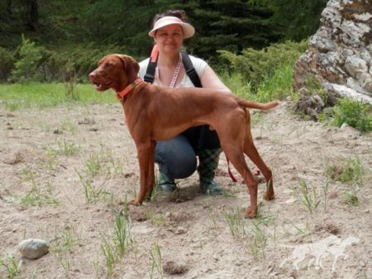 Vizslavilla's Dragon Copper