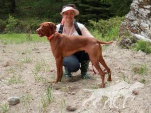 Vizslavilla's Dragon Copper