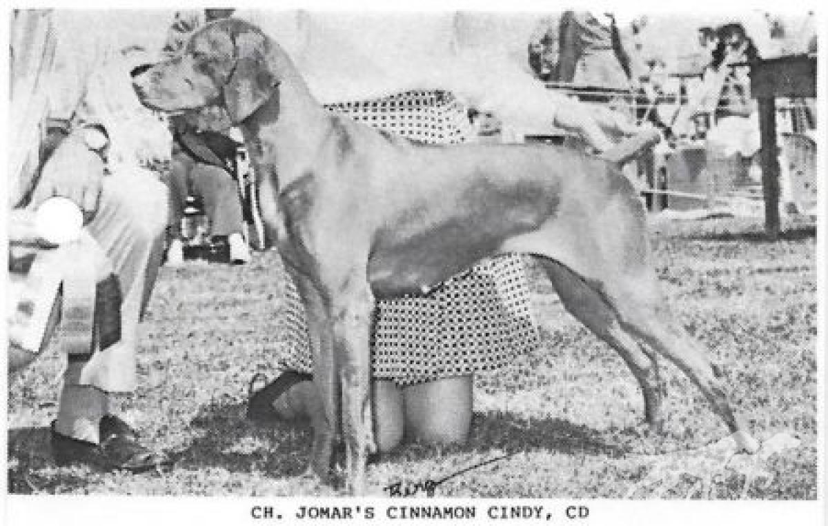 Jomar's Cinnamon Cindy