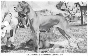 Jomar's Cinnamon Cindy