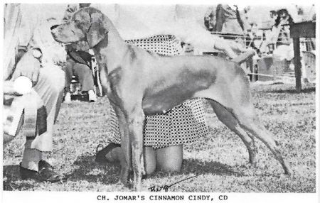 Jomar's Cinnamon Cindy