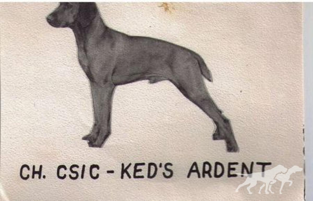 Csic-Ked's Ardent