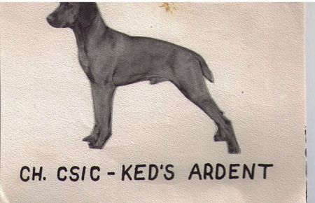 Csic-Ked's Ardent