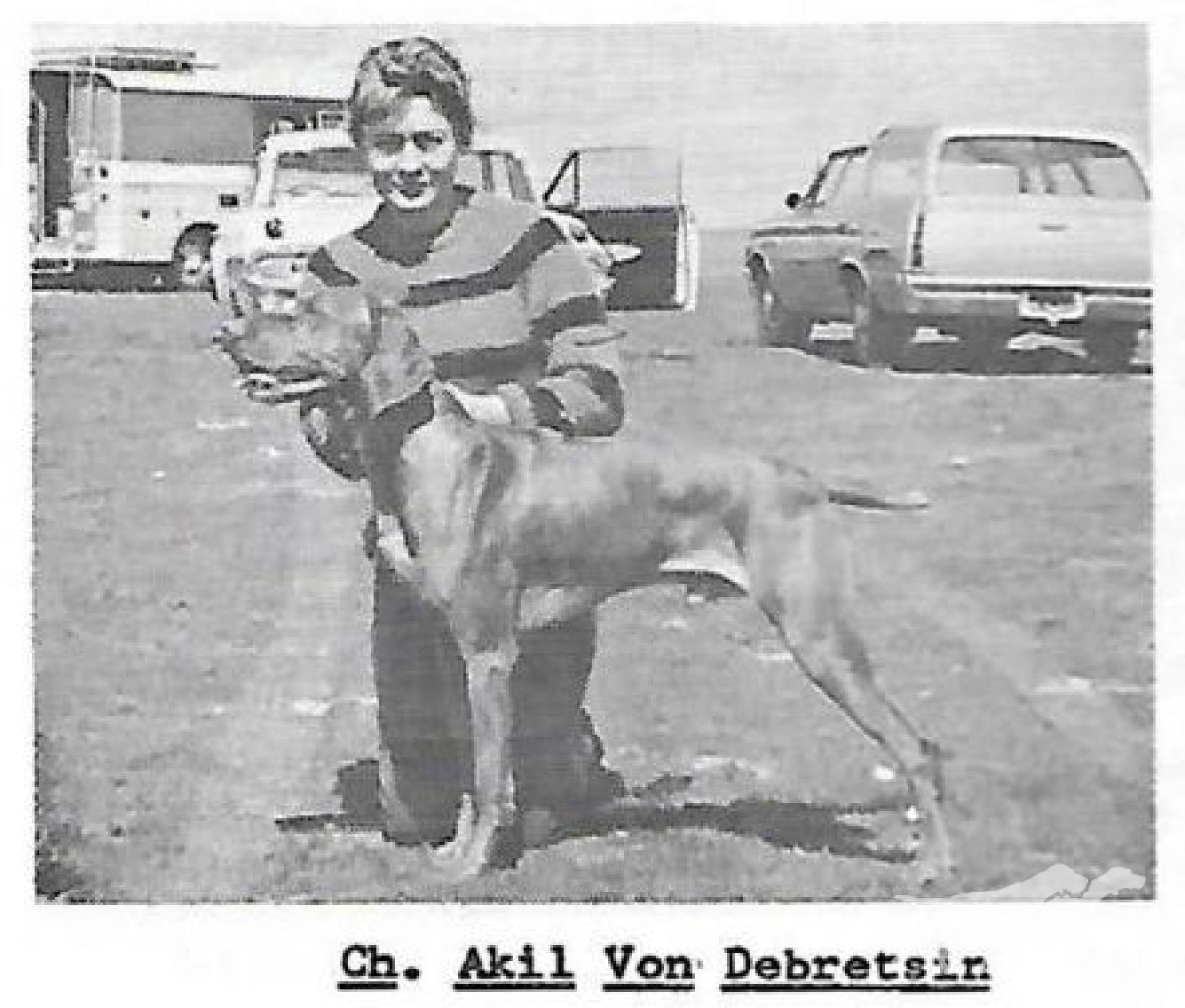 Akil von Debretsin
