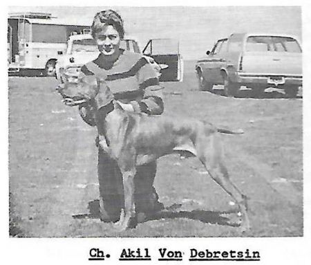 Akil von Debretsin