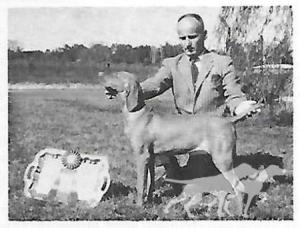 Stelmar Cselszi v Hunt