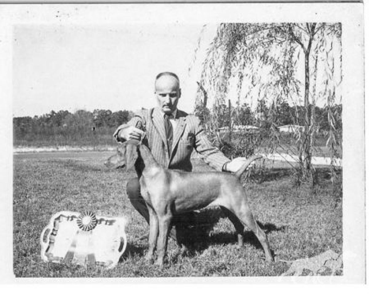 Stelmar Cselszi v Hunt