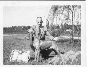 Stelmar Cselszi v Hunt