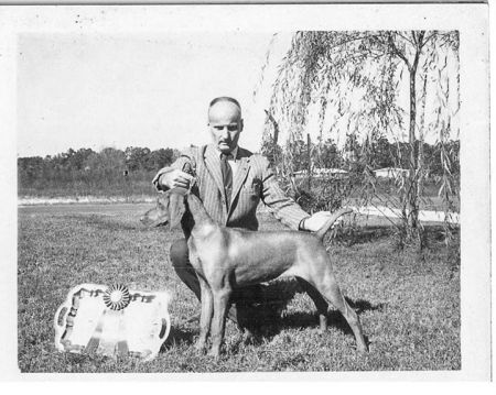 Stelmar Cselszi v Hunt