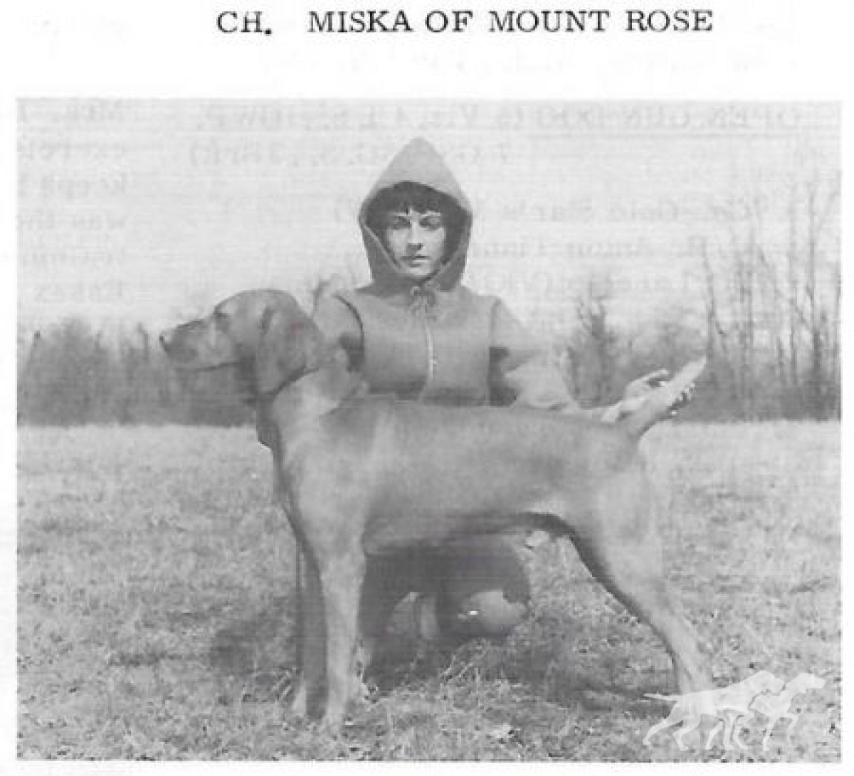 Miska Of Mount Rose