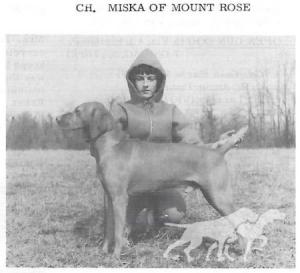 Miska Of Mount Rose