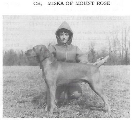 Miska Of Mount Rose