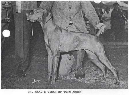 Gaal's Vihar of Twin Acres