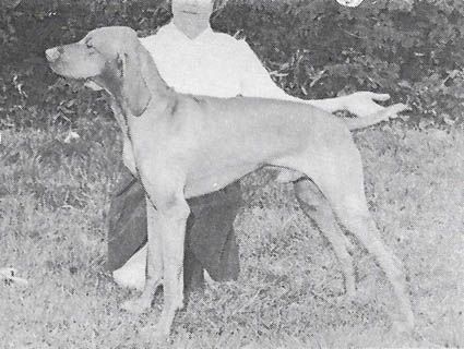 Cariad's Derekas Garm