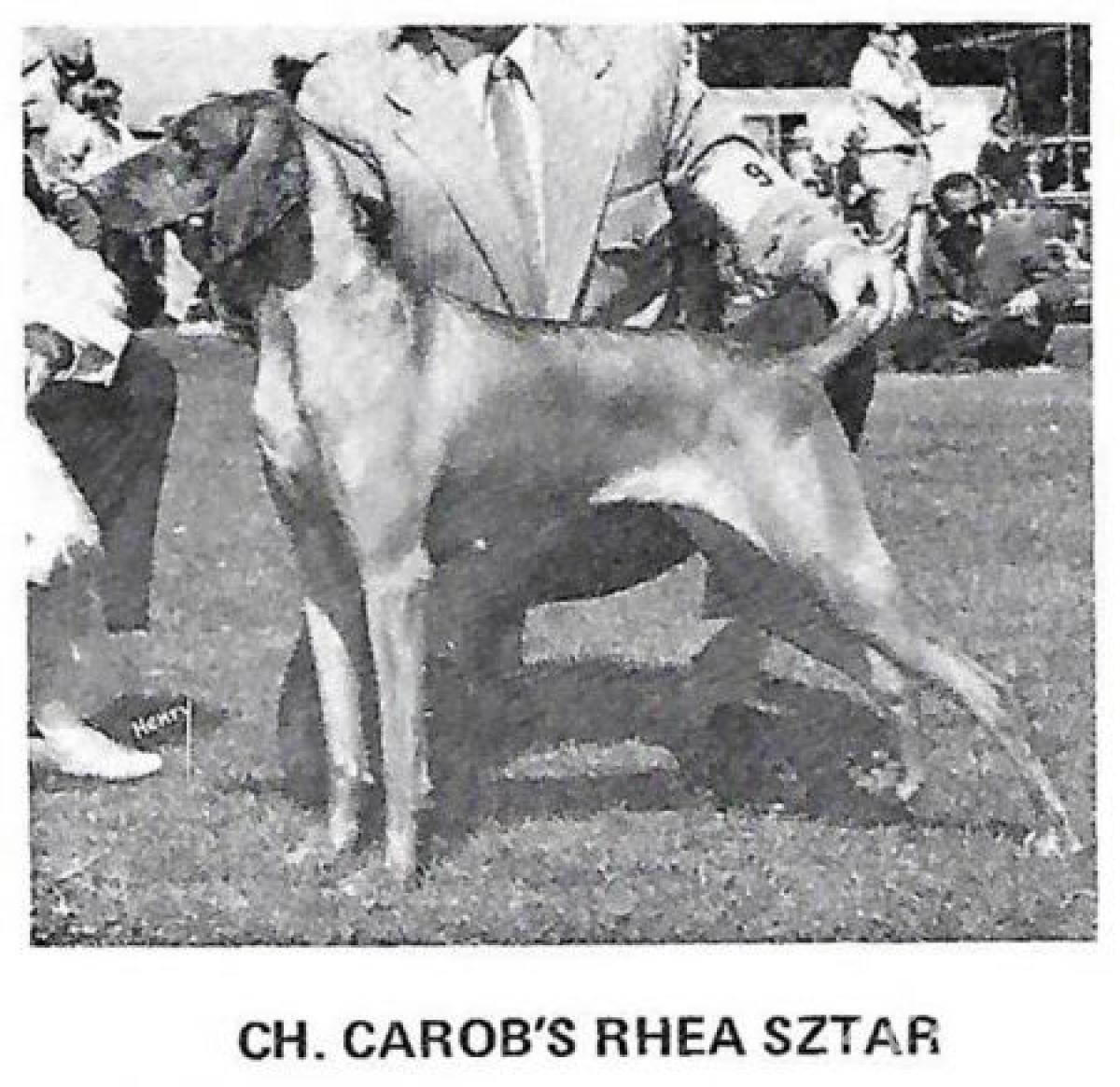 Carob's Rhea Sztar