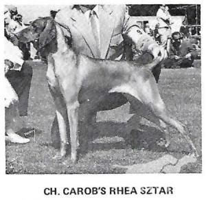 Carob's Rhea Sztar