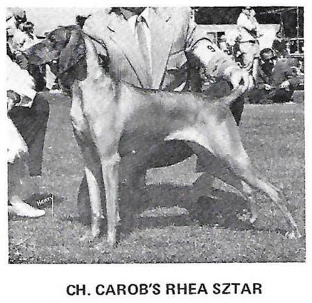Carob's Rhea Sztar