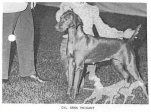 Dena Tsigany