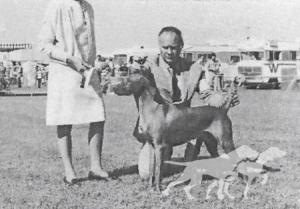 El-Jo's Country Gent