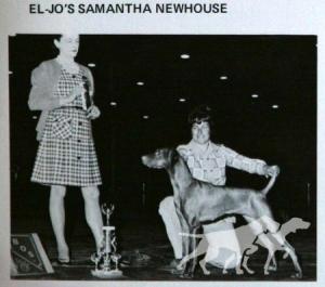 Eljo's Samantha Newhouse