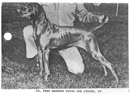 Frau Barsony Kutya von Zybura