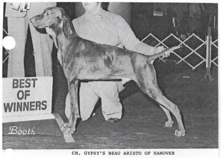Gypsy's Beau Aristo of Hanover