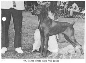 Jados Rusty King von Dezso