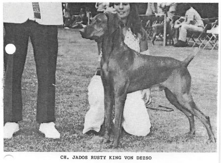 Jados Rusty King von Dezso