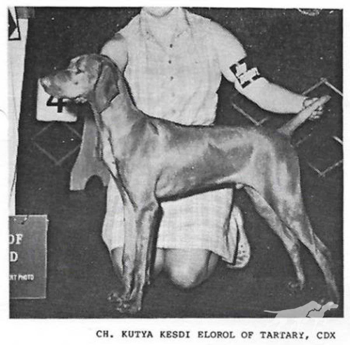 Kutya Kesdi Elorol of Tartary