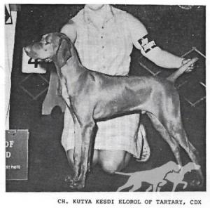 Kutya Kesdi Elorol of Tartary