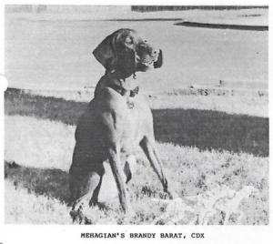 Mehagian's Brandy Barat