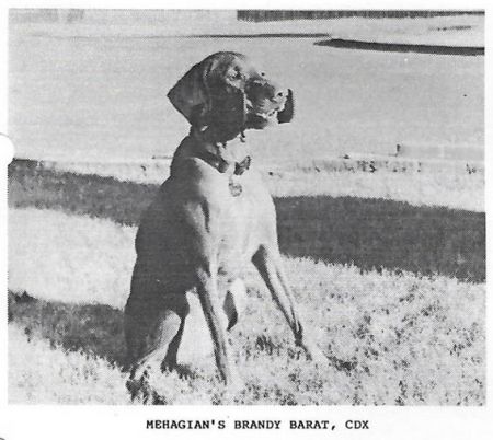 Mehagian's Brandy Barat