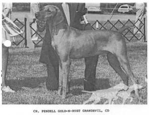Pendell Gold-N-Rust Grandevil