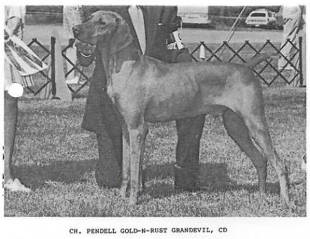 Pendell Gold-N-Rust Grandevil