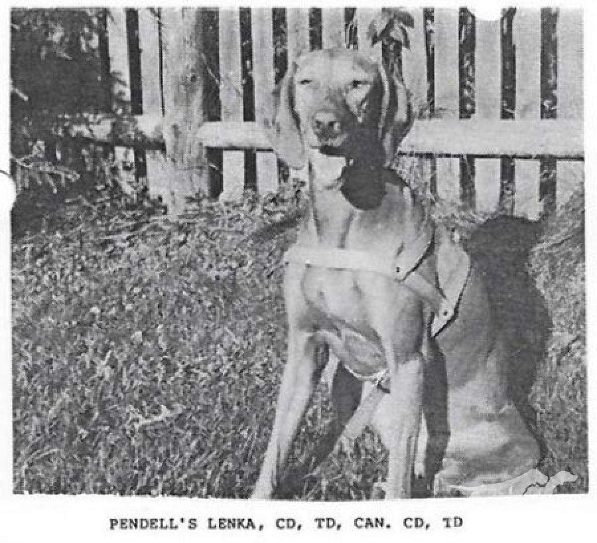 Pendell's Lenka