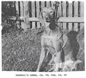 Pendell's Lenka