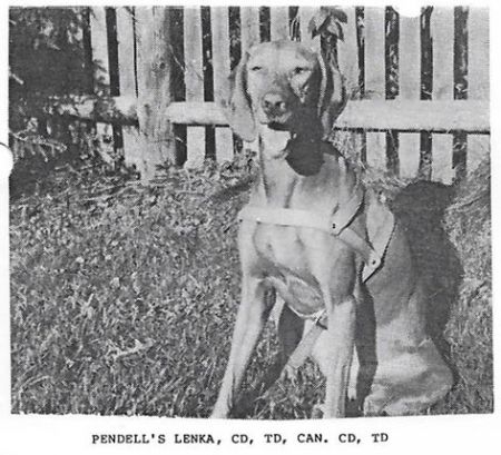 Pendell's Lenka