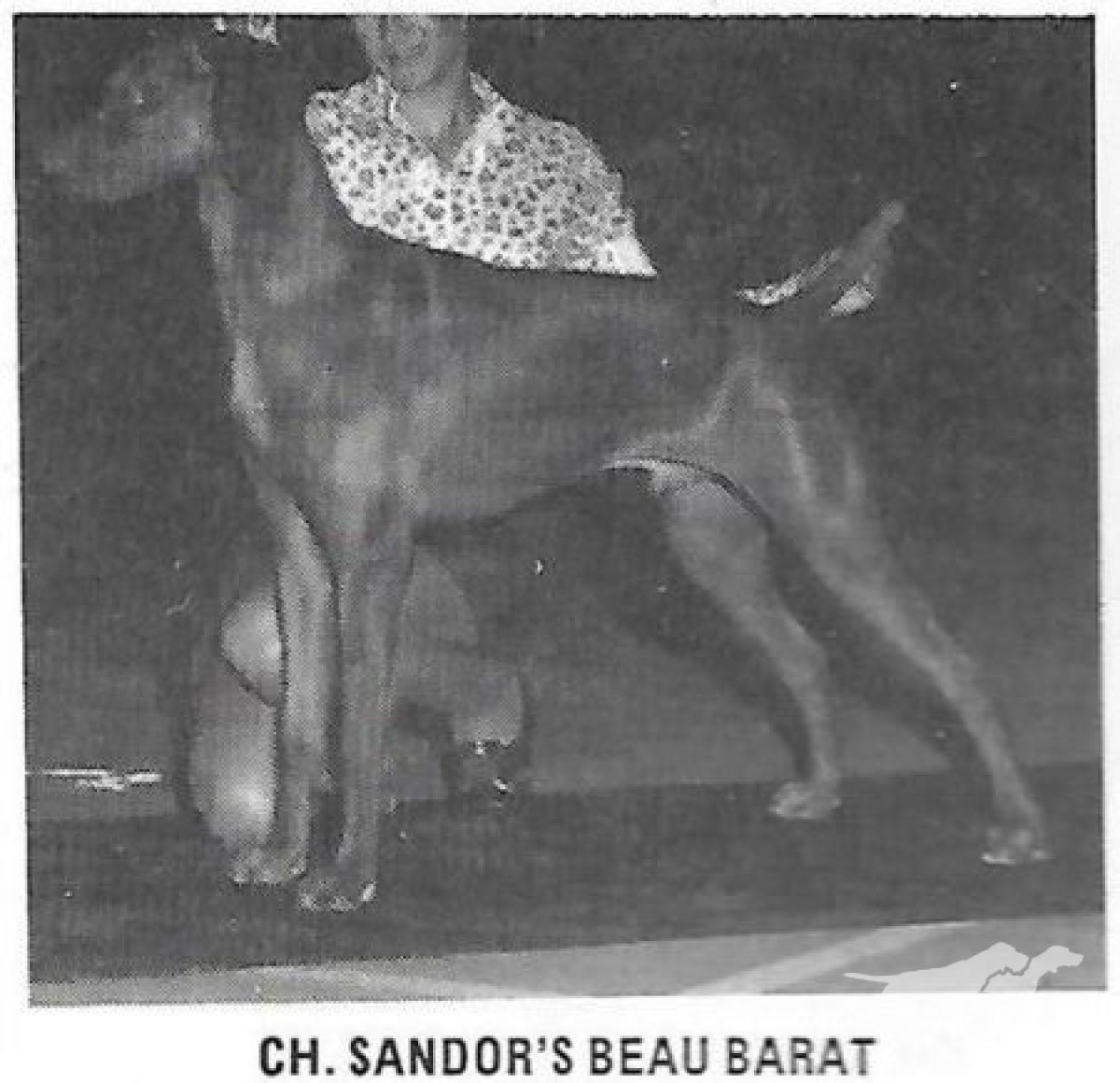 Sandor's Beau Barat