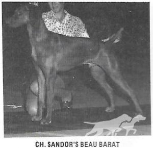 Sandor's Beau Barat