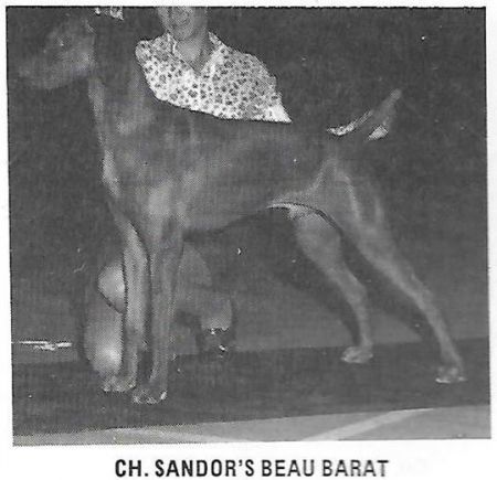 Sandor's Beau Barat