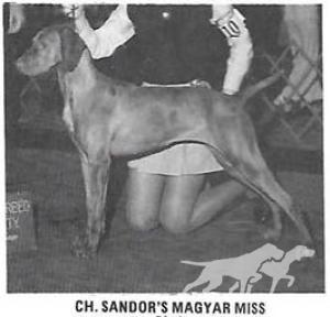 Sandor's Magyar Miss