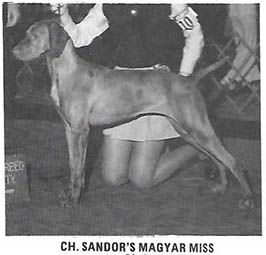 Sandor's Magyar Miss