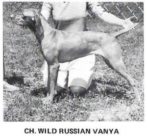 Wild Russian Vanya