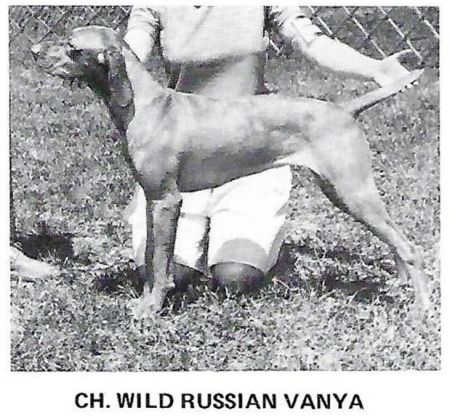 Wild Russian Vanya