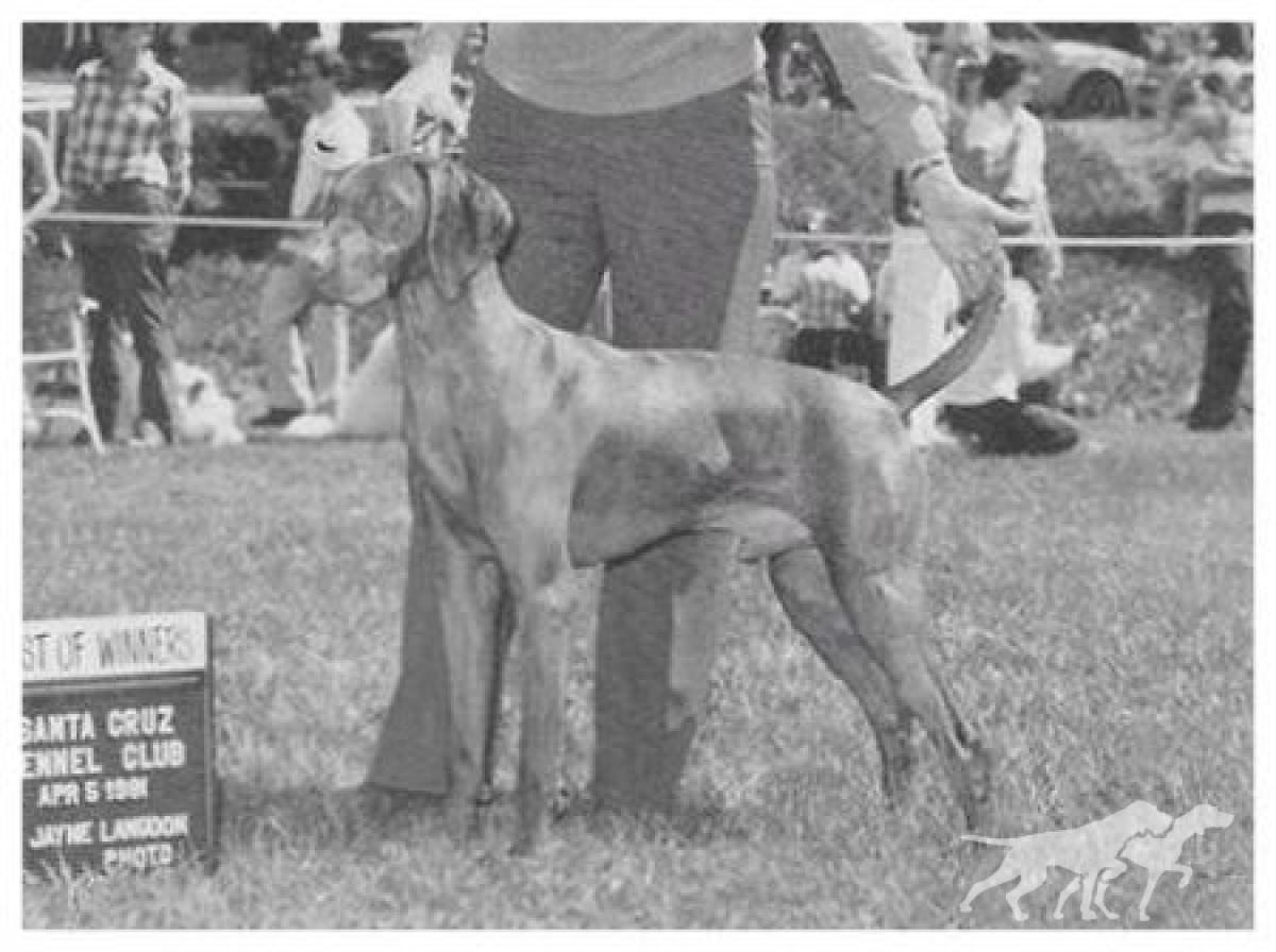 Bear Creek's Bartok