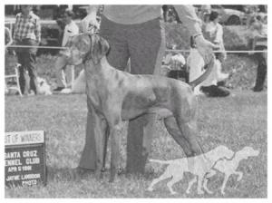 Bear Creek's Bartok